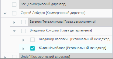 1. Иерархия объектов оргструктуры